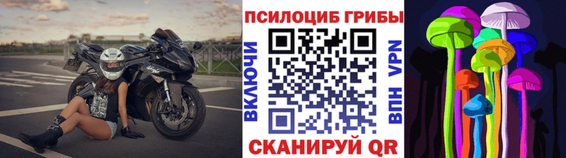 Псилоцибиновые грибы мицелий  мега как зайти  Инза  где купить наркоту 